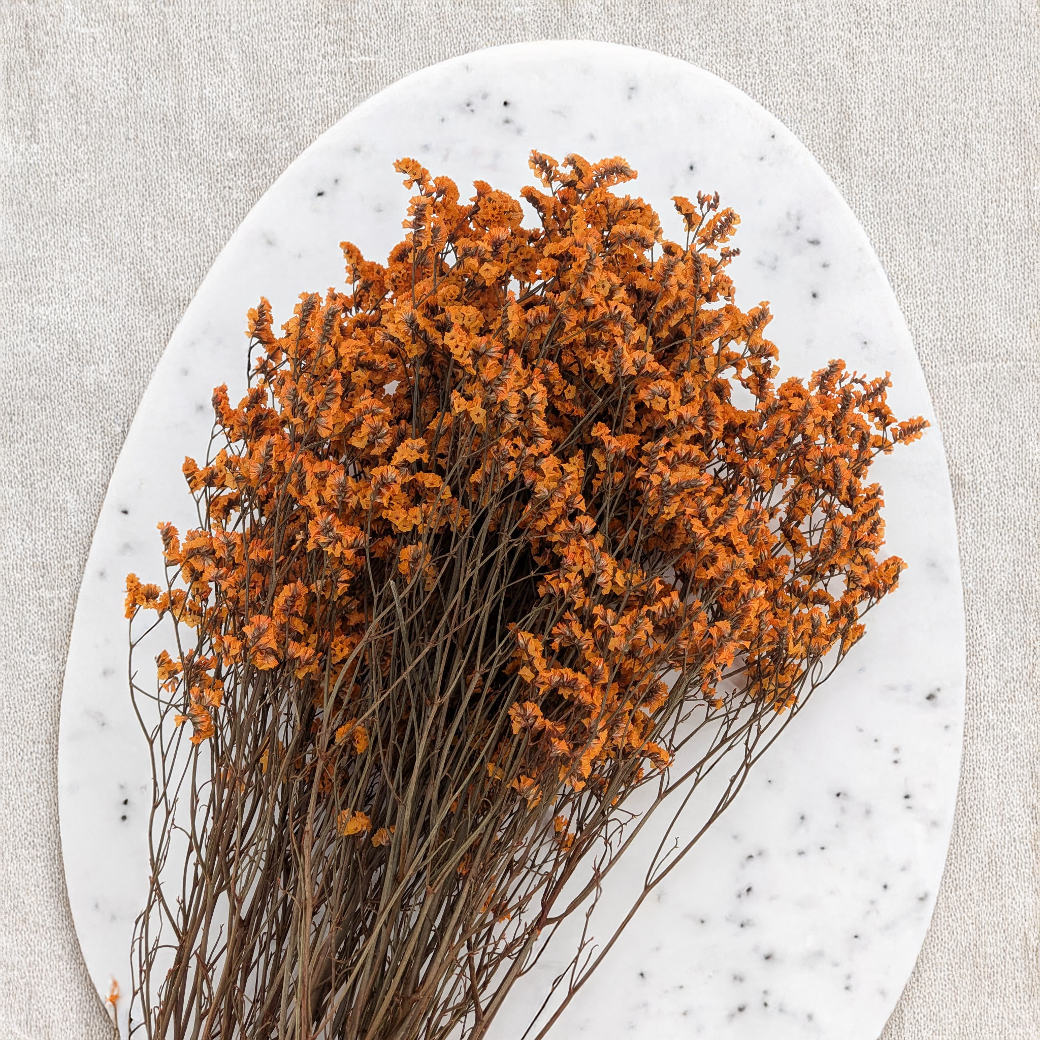 Limonium Sinense pro floristické dekorace